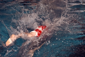 2017_CroqueLaVie_0202.jpg