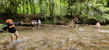 IMG_20200714_151403.jpg