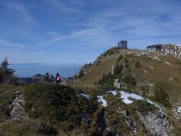 P1500025.jpg