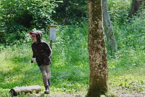 44.jpg