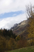 image00005.jpg