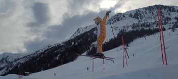 VideoCapture_20230223-174549.jpg