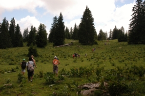 CampJurassicMarche2013_025.jpg