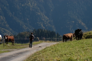2013_Camp_on_croque_la_Vie_0089.jpg