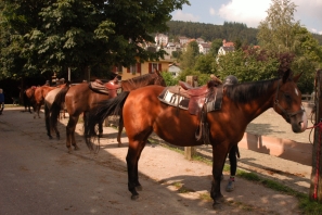 2014_CampWesternClowns_0586.jpg