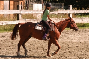 2014_CampWesternClowns_0617.jpg