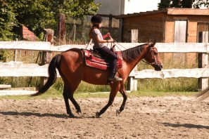 2014_CampWesternClowns_0647.jpg