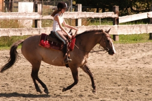2014_CampWesternClowns_0650.jpg