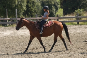 2014_CampWesternClowns_0804.jpg