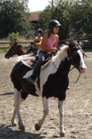 2014_CampWesternClowns_0819.jpg