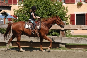 2014_CampWesternClowns_0843.jpg