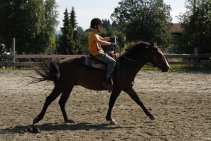 2014_CampWesternClowns_0853.jpg