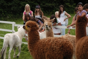 2014_CampWesternClowns_0894.jpg