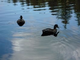 DSCN3142.jpg