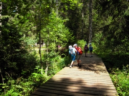 DSCN3151.jpg