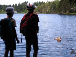 DSCN3161.jpg