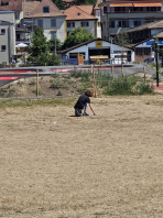 20260707_114805.jpg